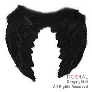ALAS DE ANGEL CON PLUMAS NEGRAS 55 x 40 cm  X 1